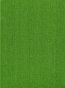 Arthur Cronquist, C Leo Hitchcock, C. Leo Hitchcock, Leo Hitchcock, Marion Ownbey, … - Vascular Plants of the Pacific Northwest Volume 2: Salicaceae to Saxifragaceae