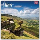 Not Available (NA) - Wales 2017 Calendar