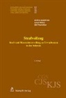 Andre Baechtold, Andrea Baechtold, Ueli Hostettler, Jona Weber, Jonas Weber - Strafvollzug