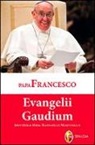Francesco (Jorge Mario Bergoglio) - Evangelii gaudium
