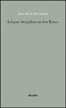 Joris-Karl Huysmans - Schizzo biografico su don Bosco
