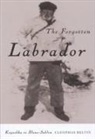 Cleophas Belvin - The Forgotten Labrador