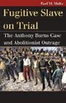 Earl M. Maltz - Fugitive Slave on Trial