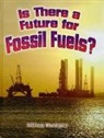 Ellen Rodger - Is There a Future for Fossil Fuels?
