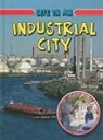 Lizann Flatt - Life in an Industrial City