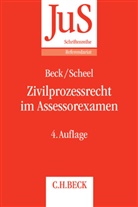Ernst Becht, Simon M. Beck, Simon Marku Beck, Simon Markus Beck, Simon Markus (Dr. Beck, Tobia Scheel... - Zivilprozessrecht im Assessorexamen