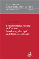 Joachim Wutte, Joachim (Dr.) Wutte - Betriebsrentenanpassung im Konzern: Berechnungsdurchgriff und Rentnergesellschaft