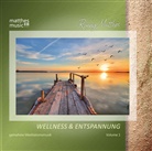 Ronny Matthes - Wellness & Entspannung. Vol.1, 1 Audio-CD (Hörbuch)