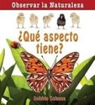 Bobbie Kalman - ¿Qué Aspecto Tiene? (How Does It Look?)