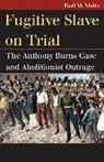 Earl M. Maltz - Fugitive Slave on Trial