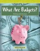 Andrew Einspruch - What Are Budgets?