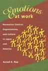 Aviad E. Raz - Emotions at Work