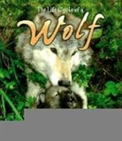 Amanda Bishop, Bobbie Kalman, Bobbie Bishop Kalman - Wolf