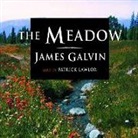 James Galvin, Patrick G. Lawler, Patrick Lawlor, Patrick Girard Lawlor - The Meadow (Audio book)
