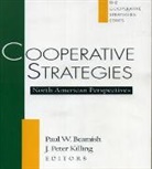 Paul W Beamish, Paul W. Beamish, Bill Hicks, J. Peter Killing, Paul W. Beamish, Peter Killing - Cooperative Strategies