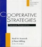 Paul W Beamish, Paul W. Beamish, Bill Hicks, Paul W. Beamish, Peter Killing - Cooperative Strategies