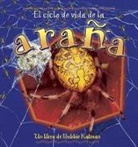 Bobbie Kalman, Kathryn Smithyman - El Ciclo de Vida de la Araña (the Life Cycle of a Spider)