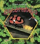 Molly Aloian, Bobbie Kalman - El Ciclo de Vida del Escarabajo (the Life Cycle of a Beetle)