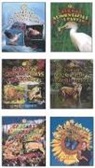 Crabtree Publishing - Cadenas Alimentarias