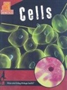 Marina Cohen - Cells