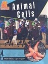 Penny Dowdy - Animal Cells