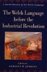 Geraint H. Jenkins, Geraint H. Jenkins - The Welsh Language Before the Industrial Revolution