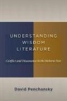 David Penchansky - Understanding Wisdom Literature