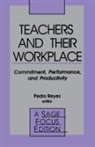 Pedro Reyes, Pedro Reyes - Teachers and Their Workplace