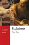 Peter Enns - Ecclesiastes