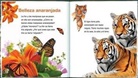 Crabtree Publishing - Spa-Observar La Naturaleza