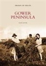 David Gwynn - Gower Peninsula