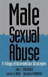 Walter Bera, Bera Walter, John C. Gonsiorek, Gonsiorek John C., Don Letourneau, LeTourneau Don - Male Sexual Abuse