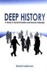 David Laibman - Deep History
