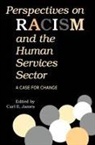 Carl E. James, Carl E. James - Perspectives on Racism and the Human Services Sector