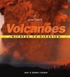 Dennis Fradin, Dennis Brindell Fradin, Judith Fradin, Judith Bloom Fradin - Witness to Disaster: Volcanoes