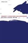 William Calin - Minority Literatures and Modernism