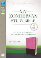 D. A. (EDT) Carson, Zondervan, D. A. Carson, Andrew David Naselli - Zondervan Study Bible