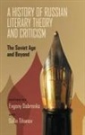 Evgeny Dobrekno, Evgeny Dobrenko, Galin Tihanov - A History of Russian Literary Theory and Criticism