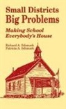 Patricia A. Schmuck, Richard A. Schmuck - Small Districts, Big Problems
