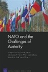 Caroline Baxter, John Gordon, Stuart E. Johnson, Deborah Lai, F. Stephen Larrabee, Calin Trenkov-Wermuth... - NATO and the Challenges of Austerity