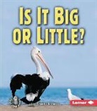 Sheila Rivera - Is It Big or Little?