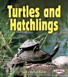Ann-Marie Kishel - Turtles and Hatchlings