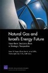 Claude Berrebi, James Griffin, Thomas Light, Endy Y Min, Endy Y. Min, Steven W Popper... - Natural Gas and Israel's Energy Future
