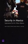Benjamin Bahney, Jack K Riley, Jack K. Riley, K Jack Riley, K. Jack Riley, Agnes Gereben Schaefer - Security in Mexico