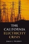 James L Sweeney, James L. Sweeney, James L. Sweeny - The California Electricity Crisis