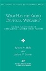 Robert W. Hahn, Robert N. Stavins - What Has the Kyoto Proctocol Wrought?: The Real Architecture of International Tradable Permit