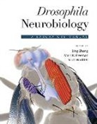 Marc R Freeman, Scott Waddell, Bing Zhang, Marc R Freeman, Marc R (Howard Hughes Medical Institute) Freeman, Marc R. Freeman... - Drosophila Neurobiology: A Laboratory Manual
