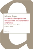 Michela Russo - La metafonia napoletana: evoluzione e funzionamento sincronico