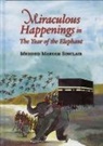 Mehded Maryam Sinclair - Miraculous Happenings in the Year of the Elephant