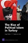 F. Stephen Larrabee, Stephen F. Larrabee, Angel Rabasa, Angel Larrabee Rabasa - Rise of Political Islam in Turkey